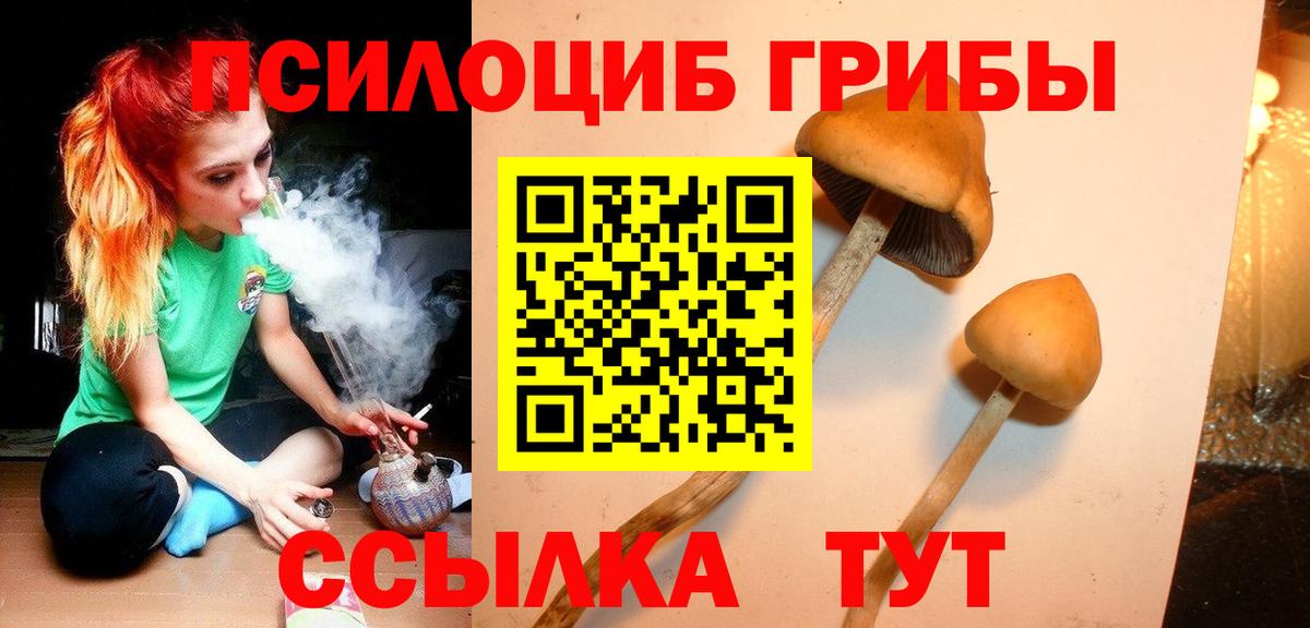 Барабинск  Галлюциногенные грибы ЛСД  Вход с VPN 